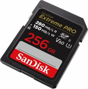This is a 256 GB ScanDisk SD card. It's black and red. 