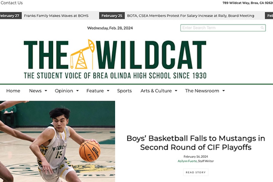 Screenshot of The Wildcat student website
